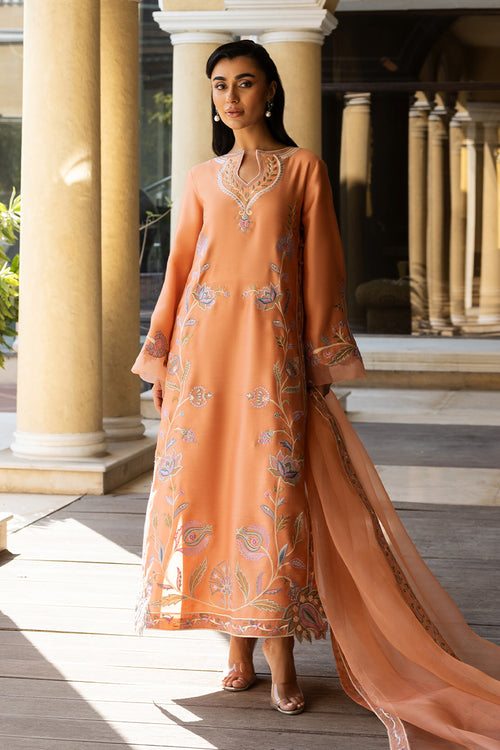 white christmas dresses Embrace Sophistication with Iraj Pakistani Designer Dress main image 1