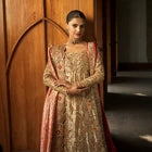 Shop By Collection